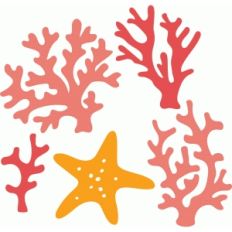 coral collection