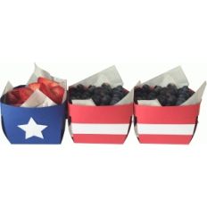 flag berry containers