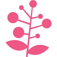 berry branch