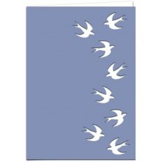 swallows 7x5 card