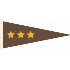 star flag