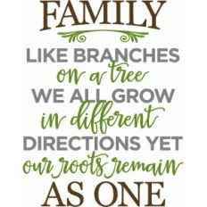 family like branches phrase