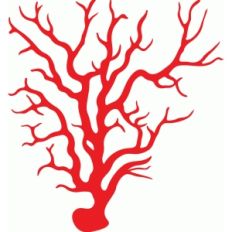 red coral