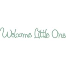 welcome little one