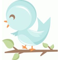 baby bird
