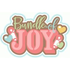 bundle of joy title