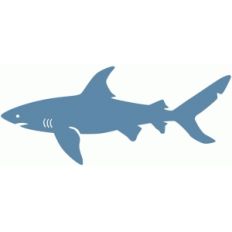 shark silhouette