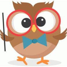 school owl