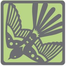 pretty swallow square card