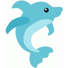 dolphin