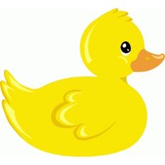 rubber duck