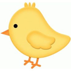 baby chick