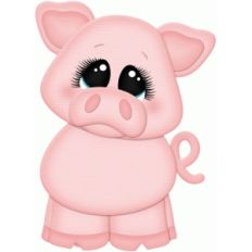 pig