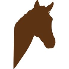 horse portrait
