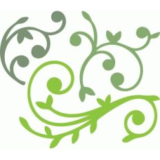 flourish vines