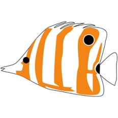 tropical fish