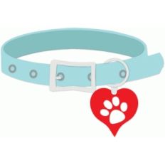 dog collar
