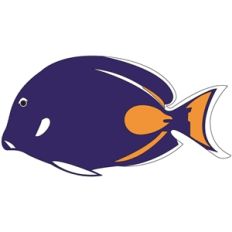 tropical fish