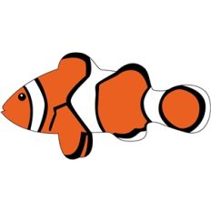 tropical fish