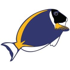 tropical fish