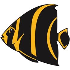 tropical fish