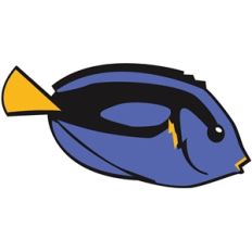 tropical fish