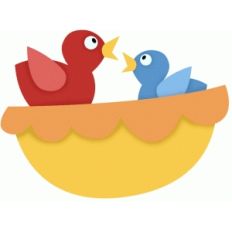 birds in a nest