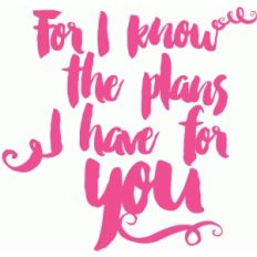 for i know the plans... brushstroke bible quote