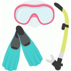 snorkel gear