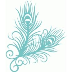 peacock feather flourish
