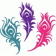 funky peacock feathers