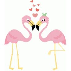 flamingos in love