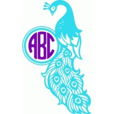 beautiful peacock monogram