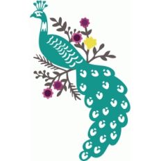 beautiful floral peacock