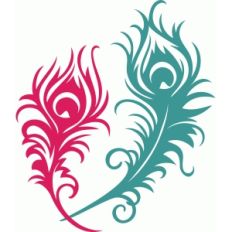 funky wild feathers
