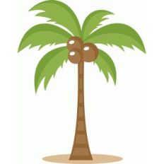 palm tree