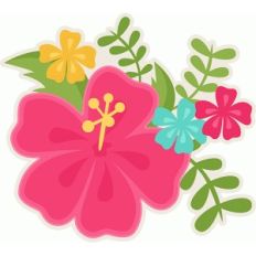 hibiscus