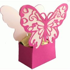 butterfly box