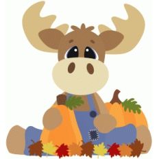 fall moose sitting w leaves