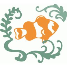 clown fish