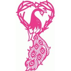 peacock heart garden