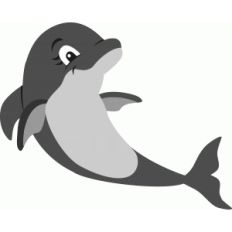 dolphin