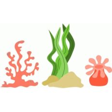 ocean scenery