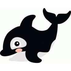 orca