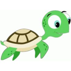 sea turtle