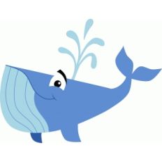 whale