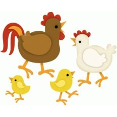 chicken family