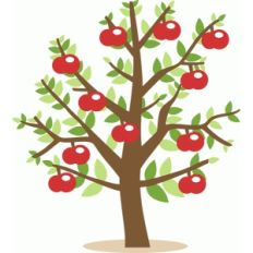 apple tree