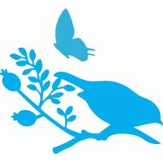 bird on a branch
