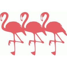 flamingos